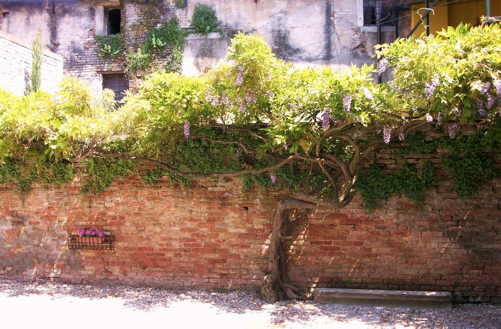 Relais Alcova Del Doge Hotel Mira Exterior photo